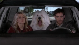 B Positive - Season 01 Episode 12